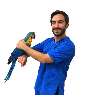 Dott. Giuseppe Bonaffini Medico Veterinario esperto in animali non convenzionali
