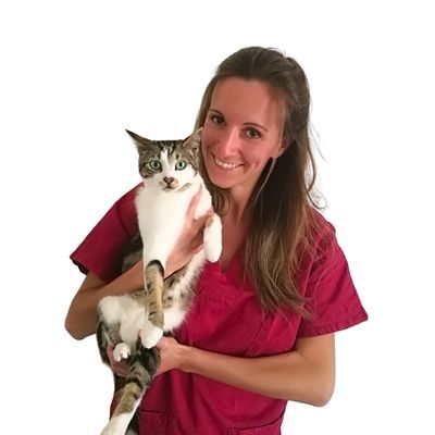 veterinario-oncologo